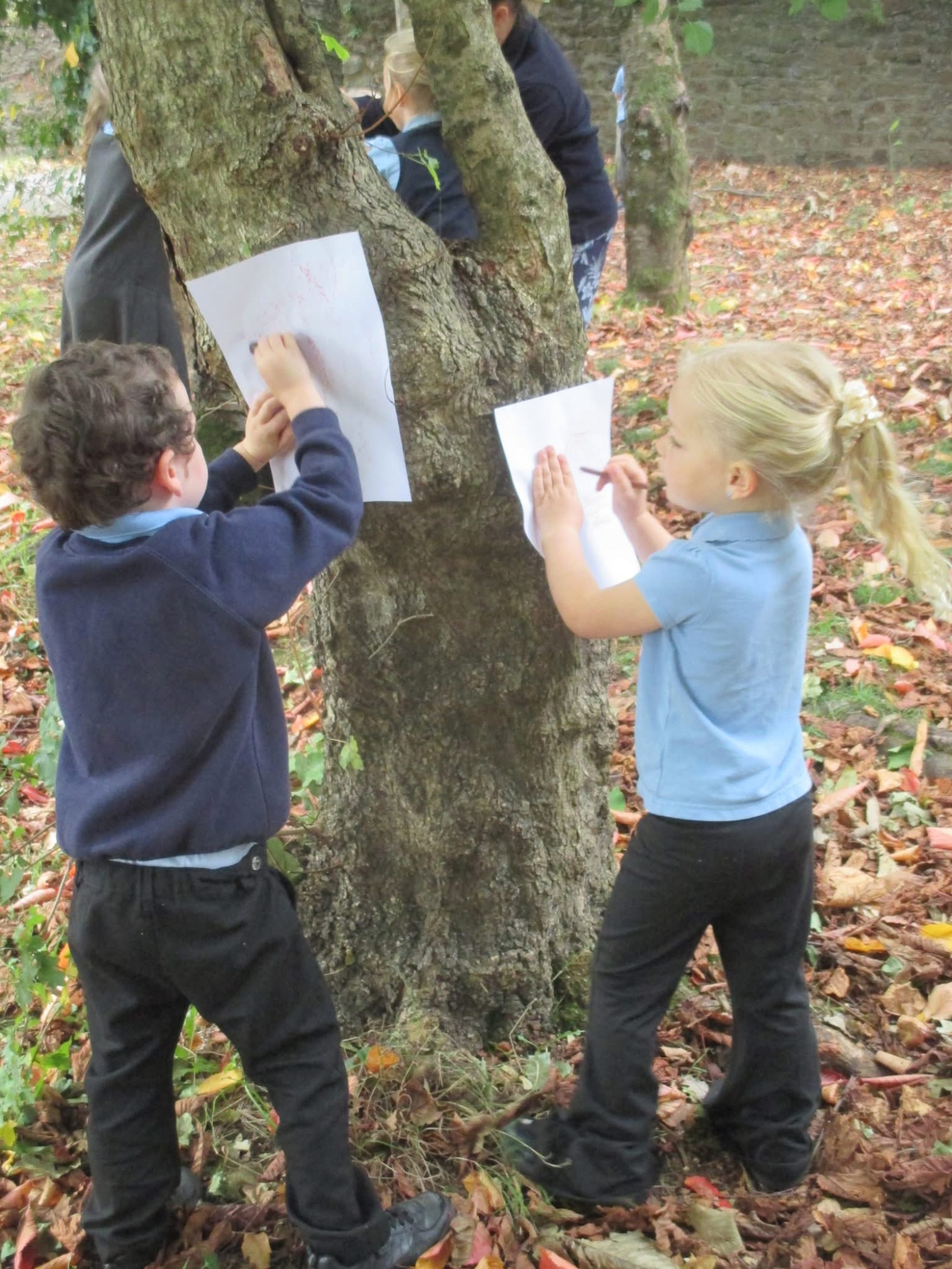 EYFS pupils bark rubbing