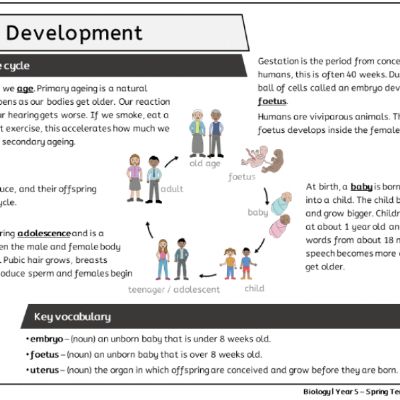 Y5 Sci Spr2 - Human Development - Knowledge Organiser.png