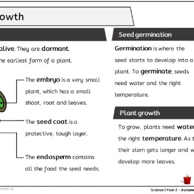 Y2 Sci Aut1 - Plant growth - Knowledge Organiser.png