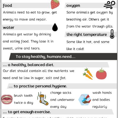 Y2 Sci Aut2 - Needs of Animals - Knowledge Organiser.png