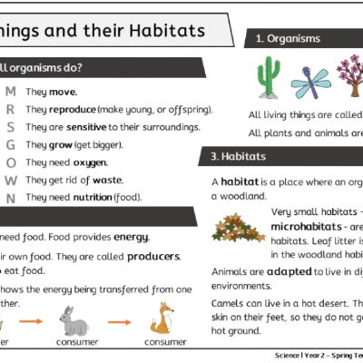 Y2 Sci Spr2 - Living Things & Their Habitats - Knowledge Organiser.png